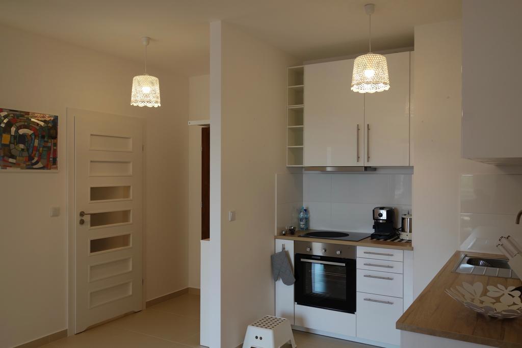 1 Bedroom Francuska Park Apartment Катовице Экстерьер фото